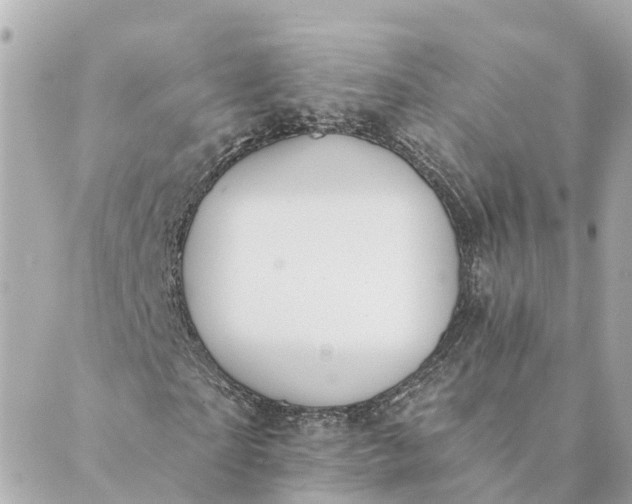 X0000089420865200706291030