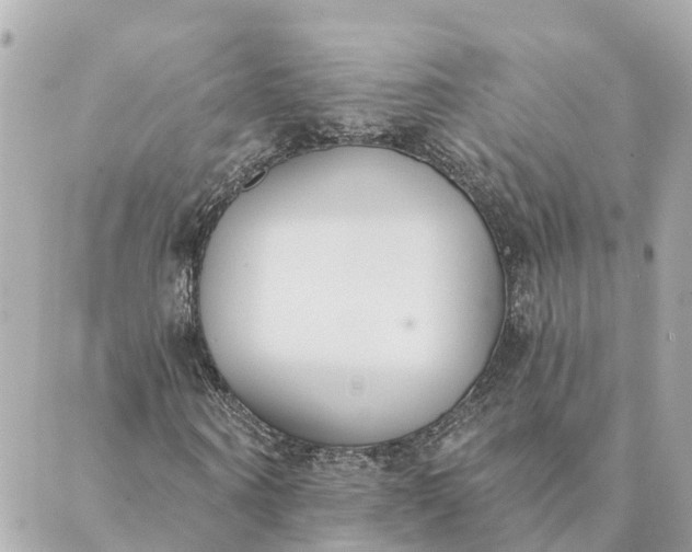 X0000089420866200706291030