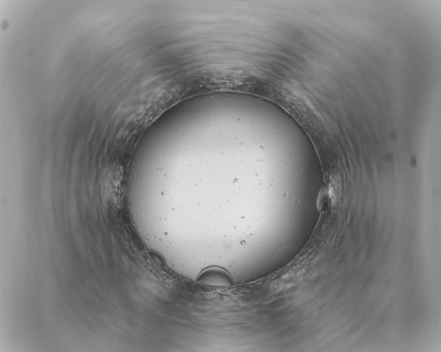 X0000089420867200706291030