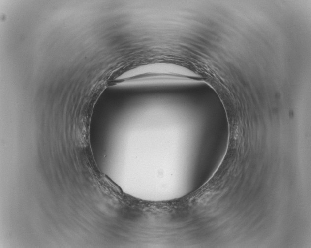 X0000089420868200706291030