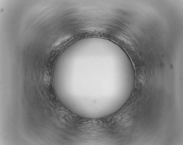 X0000089420869200706291030