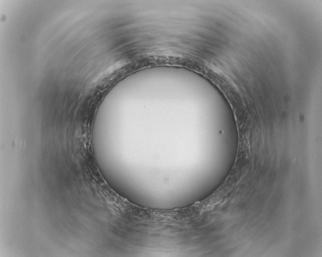 X0000089420870200706291030