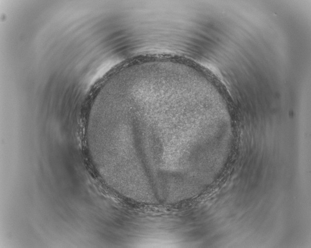 X0000089420871200706291030