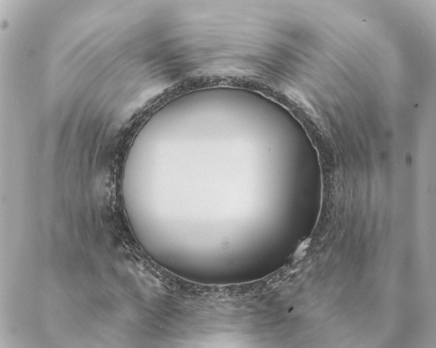 X0000089420872200706291030