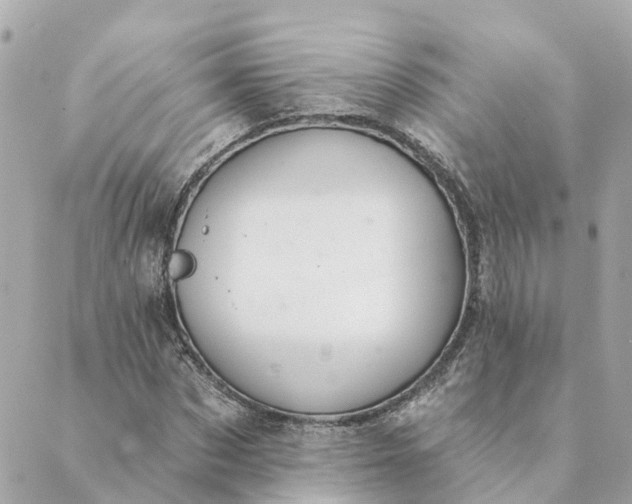 X0000089420873200706291030