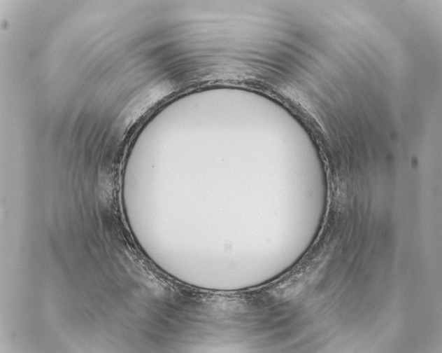 X0000089420874200706291030