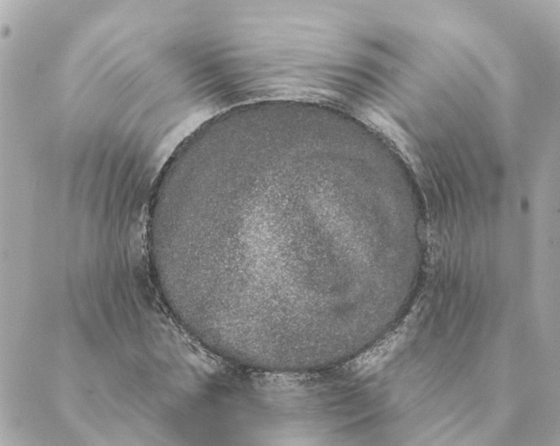 X0000089420875200706291030