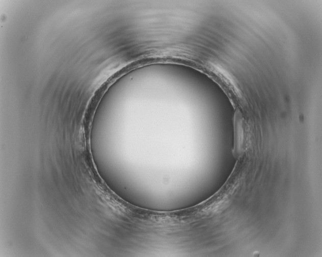 X0000089420876200706291030