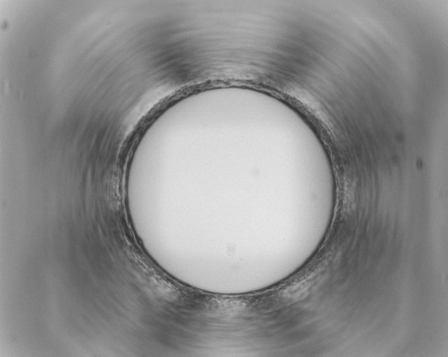 X0000089420878200706291030