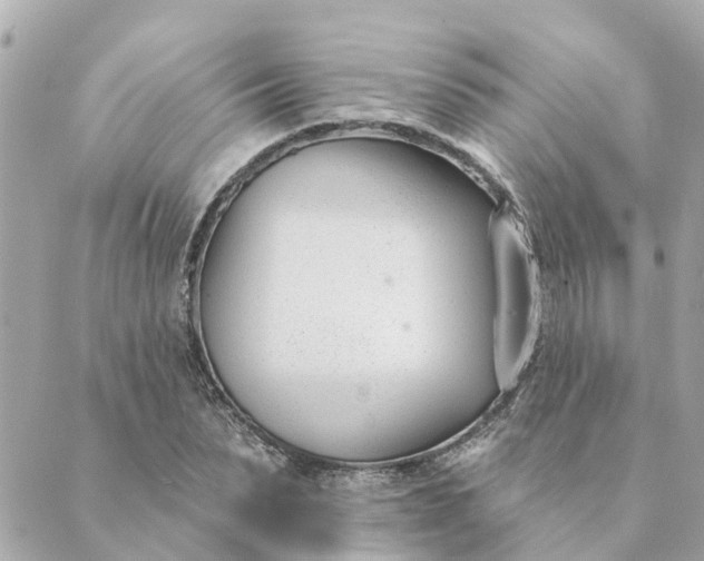 X0000089420879200706291030