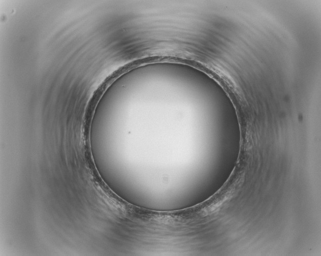 X0000089420880200706291030