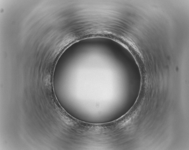 X0000089420881200706291030