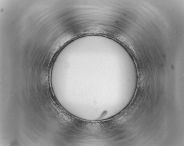 X0000089420882200706291030