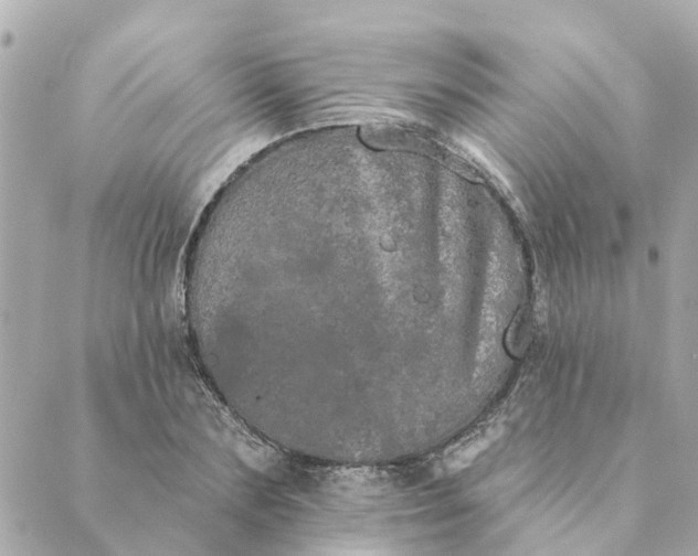 X0000089420883200706291030