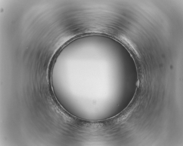 X0000089420884200706291030