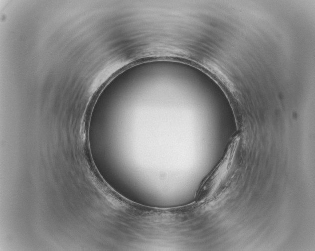 X0000089420885200706291030