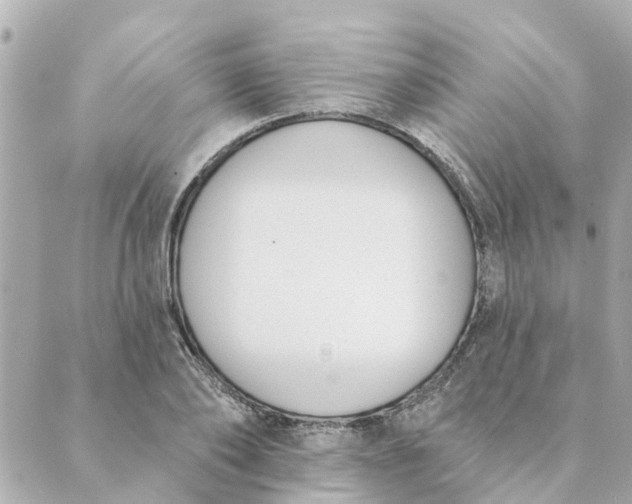 X0000089420886200706291030