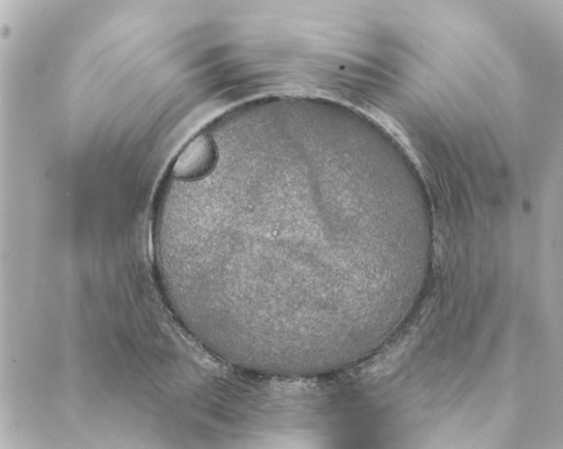 X0000089420887200706291030