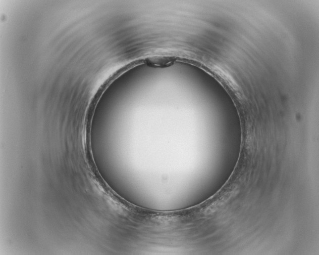 X0000089420888200706291030