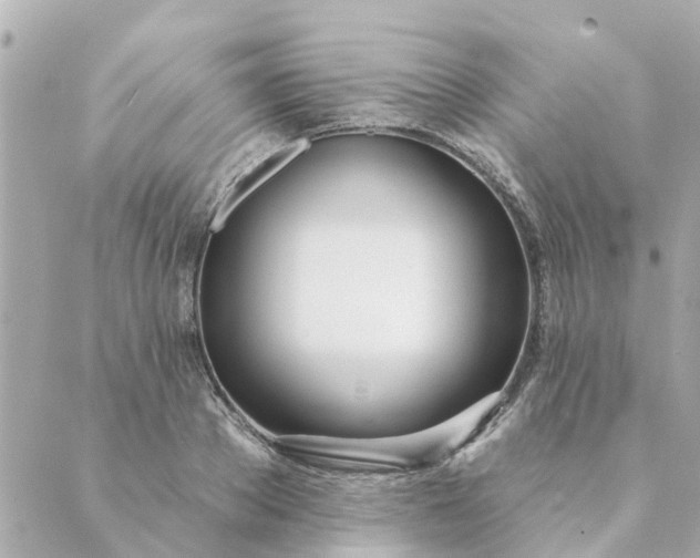 X0000089420889200706291030