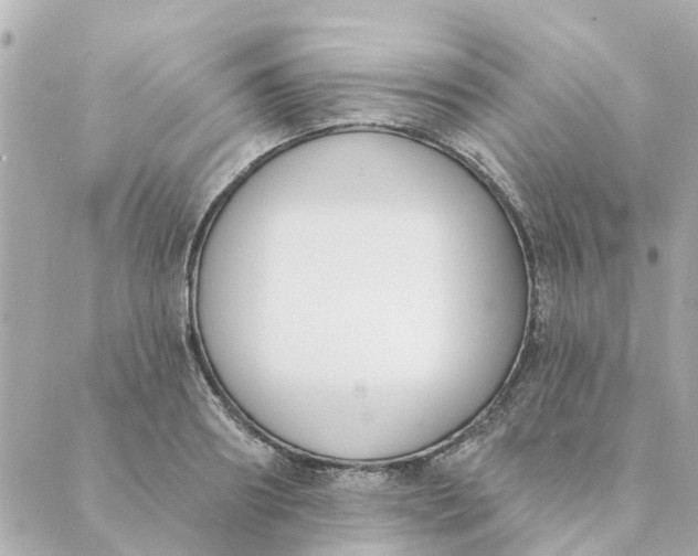 X0000089420890200706291030