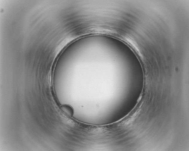 X0000089420891200706291030