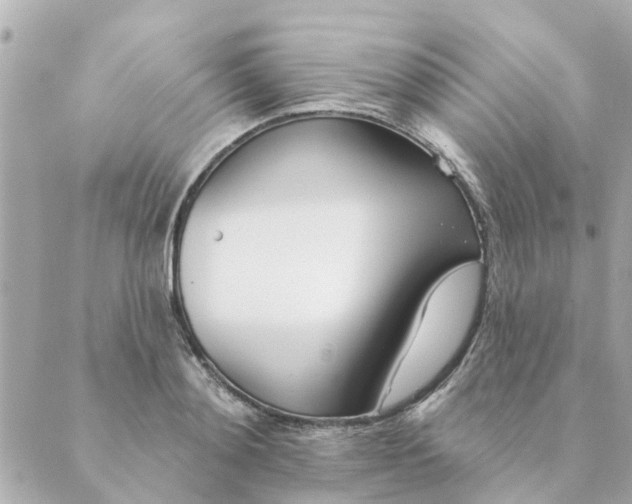 X0000089420892200706291030