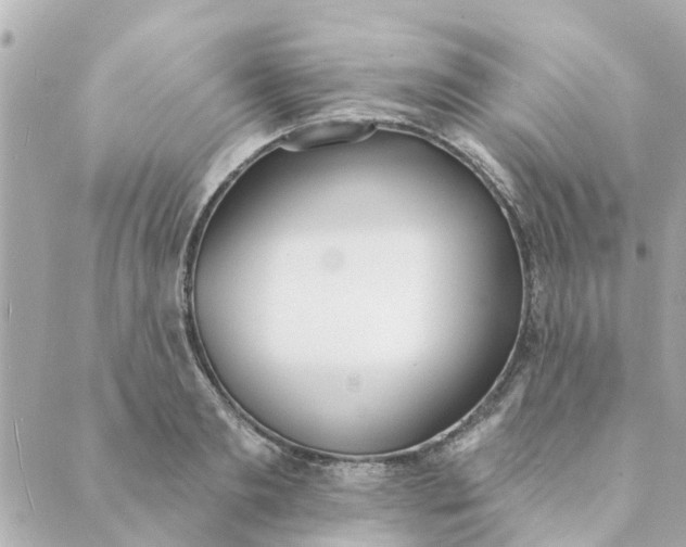 X0000089420893200706291030