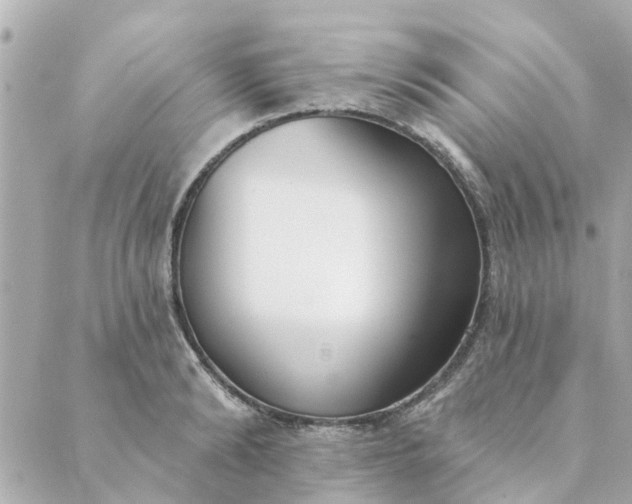 X0000089420894200706291030