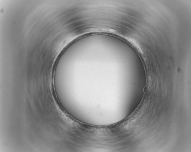 X0000089420895200706291030