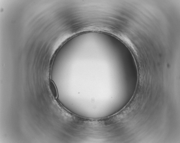 X0000089420896200706291030