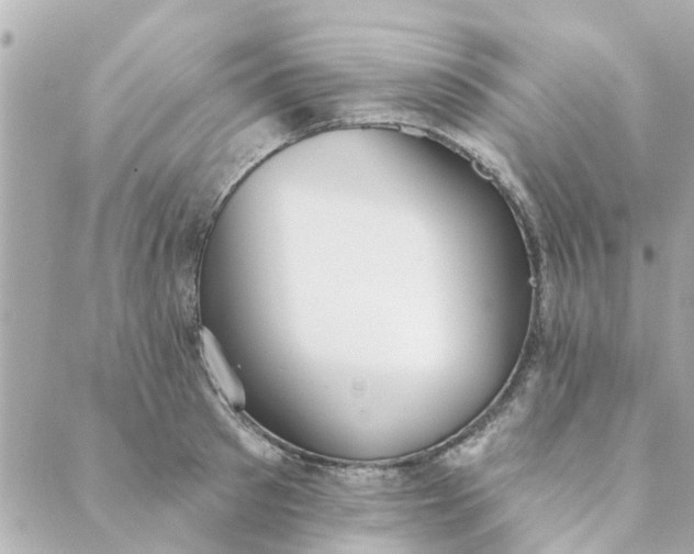 X0000089420897200706291030