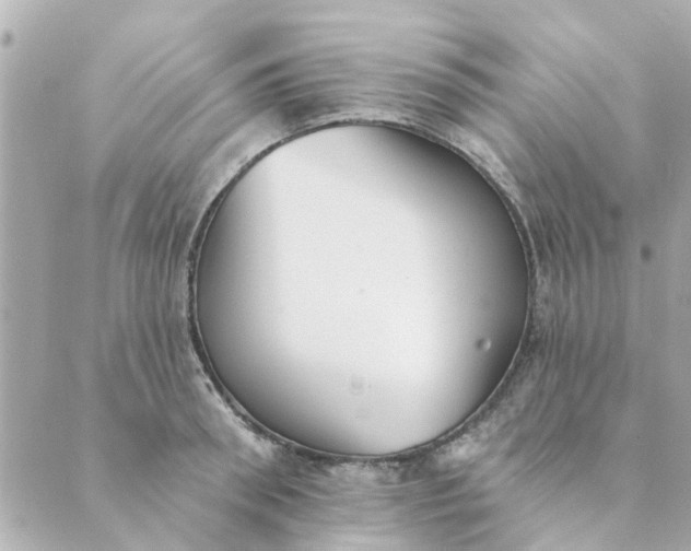 X0000089420898200706291030