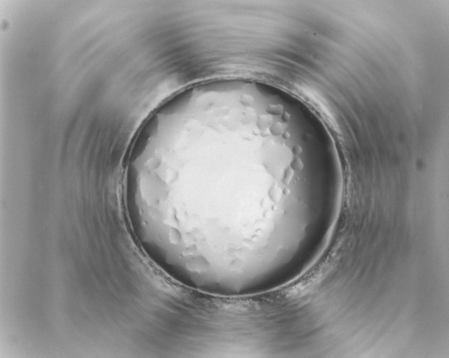 X0000089420899200706291030