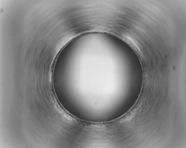 X0000089420900200706291030