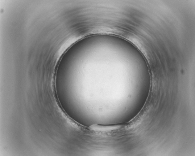 X0000089420901200706291030