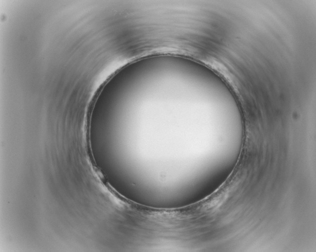 X0000089420902200706291030