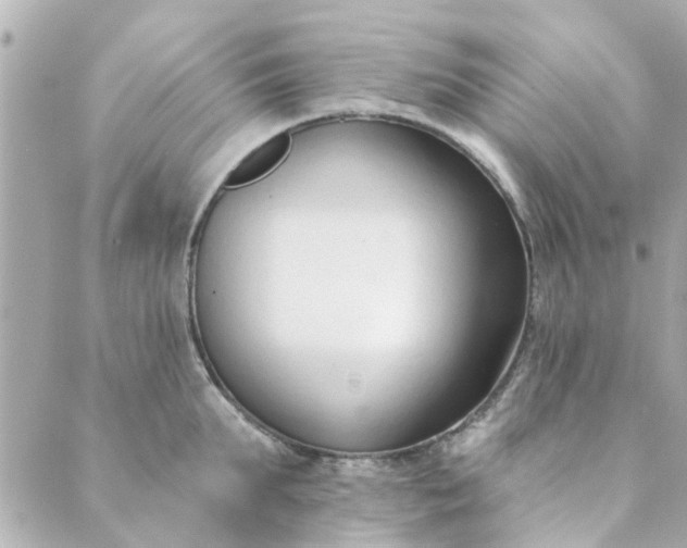 X0000089420903200706291030