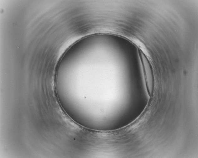 X0000089420904200706291030