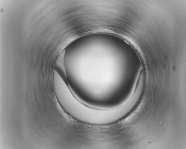 X0000089420905200706291030