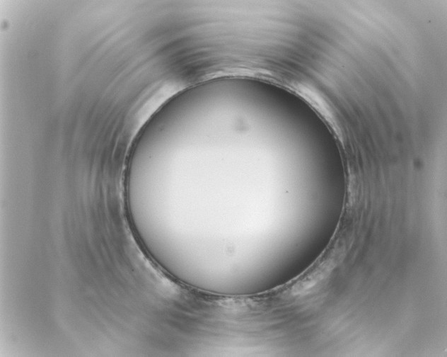 X0000089420906200706291030