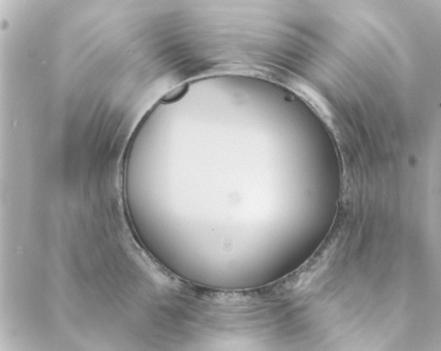 X0000089420907200706291030