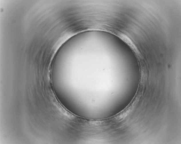 X0000089420908200706291030