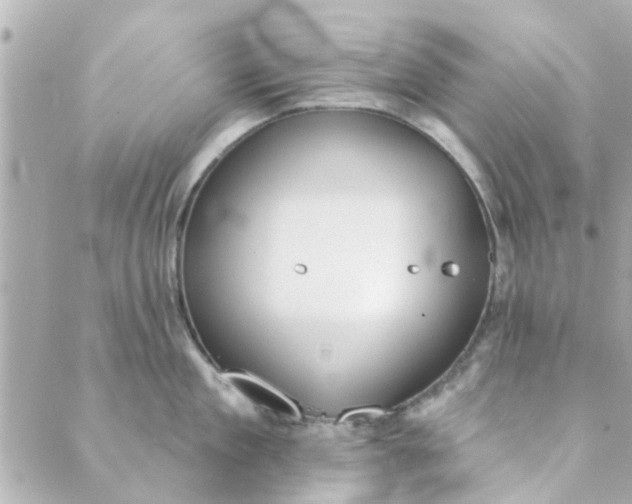 X0000089420909200706291030