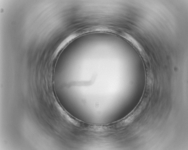 X0000089420910200706291030