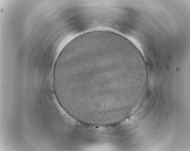 X0000089420911200706291030