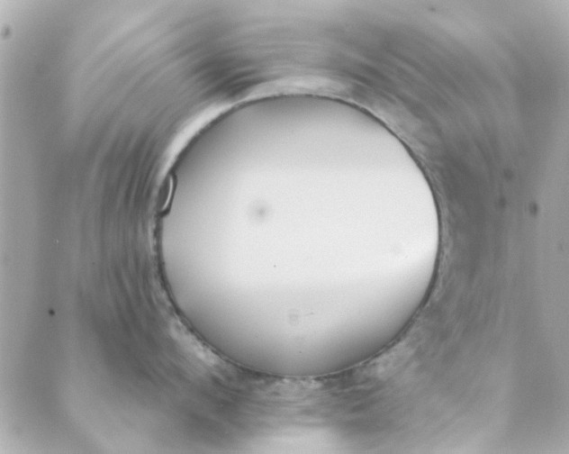 X0000089420912200706291030