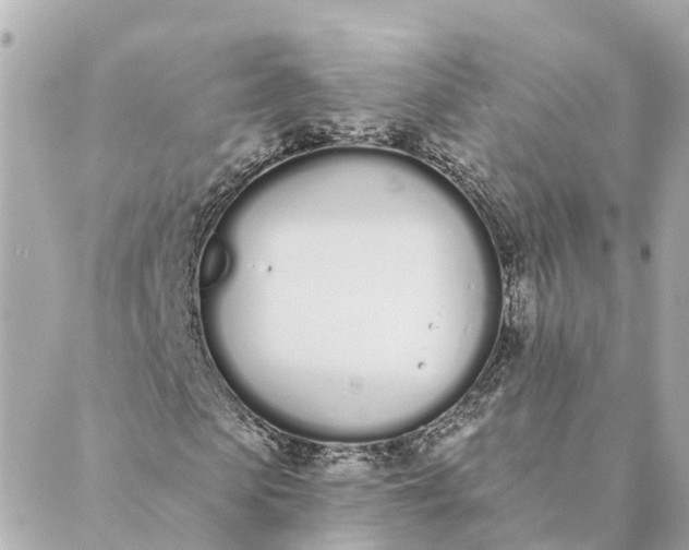 X0000089420913200706291029