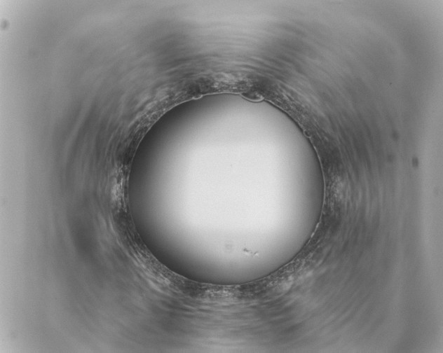 X0000089420914200706291029