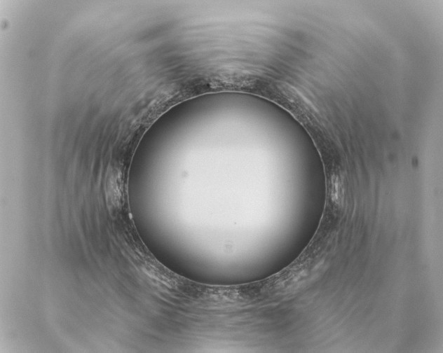 X0000089420915200706291029